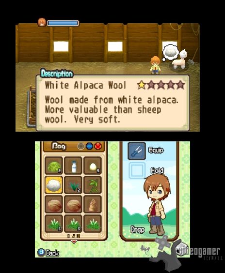 Harvest Moon: The Tale of Two Towns Screenshots, Page 3, 3DS