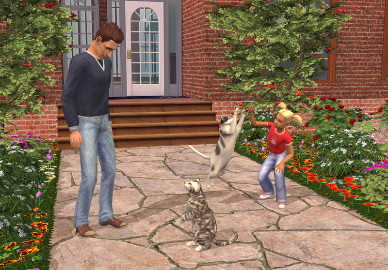 The Sims 2 Pets Ds Walkthrough