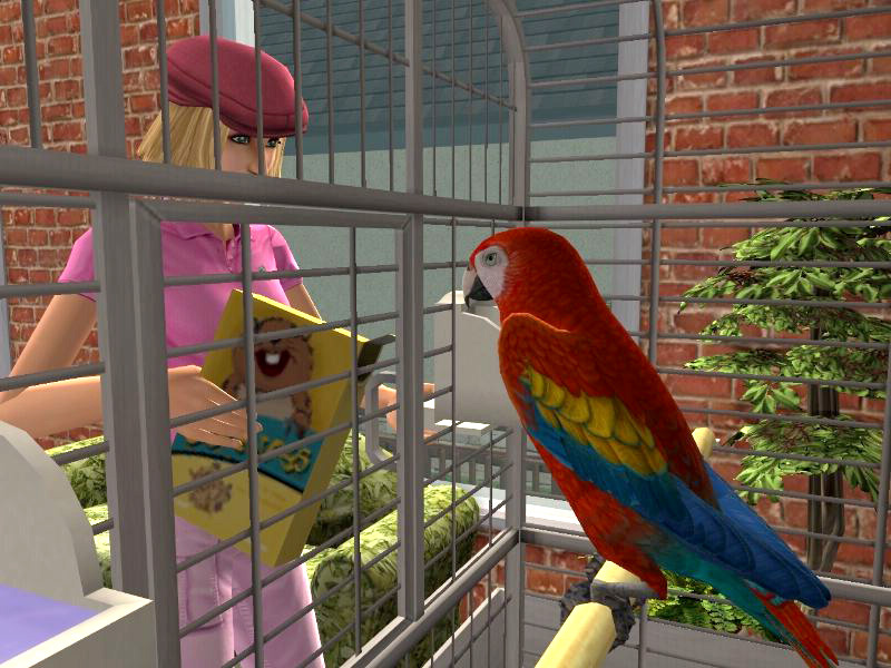 parrot_feeding.jpg