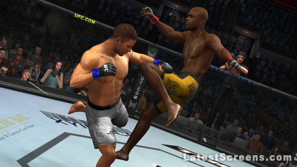 anderson silva wallpaper. anderson silva wallpaper.