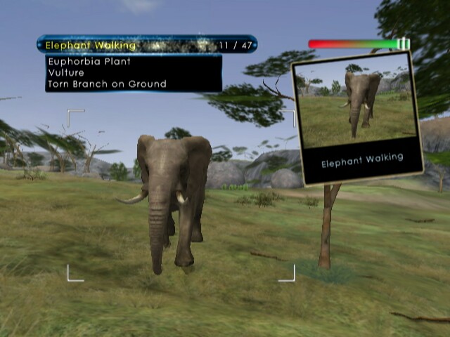 Wild Earth: African Safari Screenshots