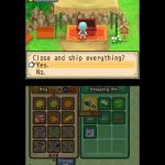 Harvest moon tale of two towns marriage