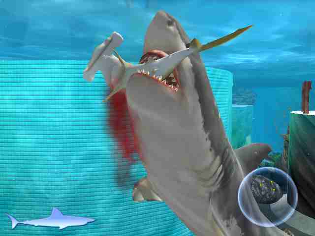 Игры играть бесплатно без регистрации акулы